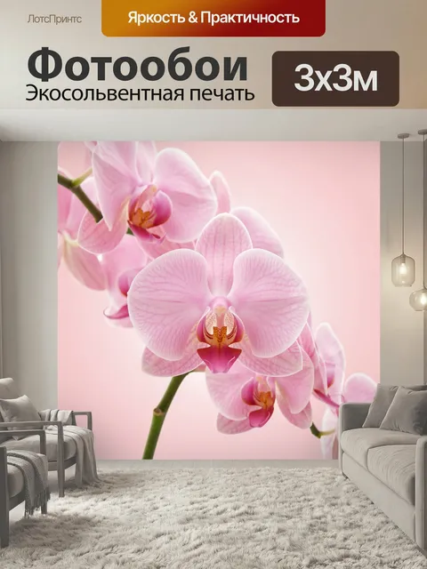Фотообои Розовые орхидеи на нежном фоне. Крупный план изящных цветков фаленопсиса на светло-пастельном фоне. Мягкий фл…