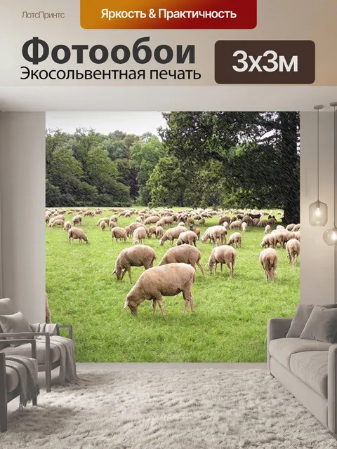 Фотообои Панорама фото, стадо овец, стадо