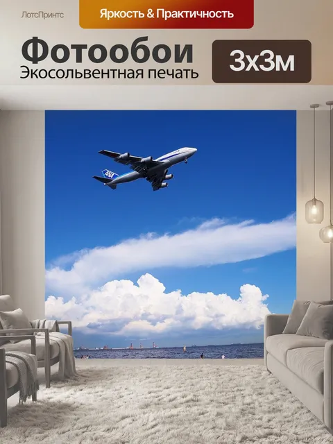 Фотообои Синее небо, пассажирский самолет, услуги