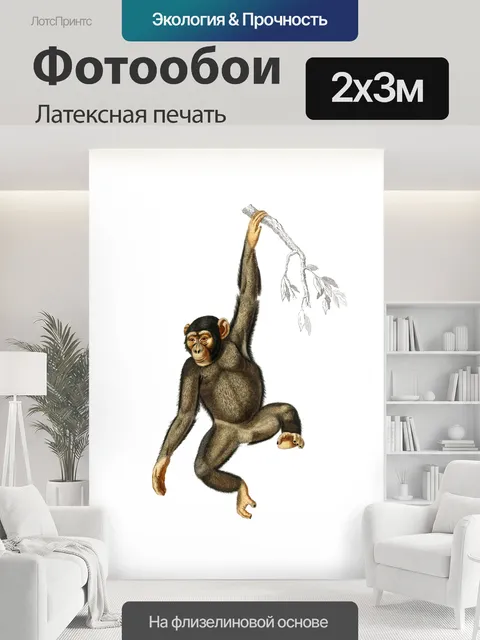 200 × 300 см · Латексная печать