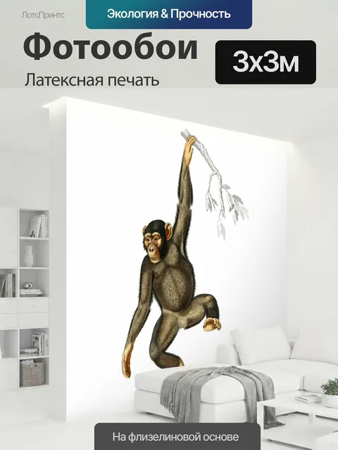 300 × 300 см · Латексная печать