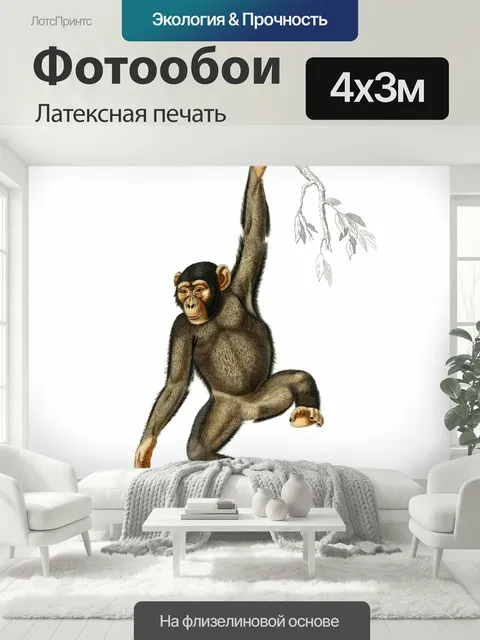 400 × 300 см · Латексная печать