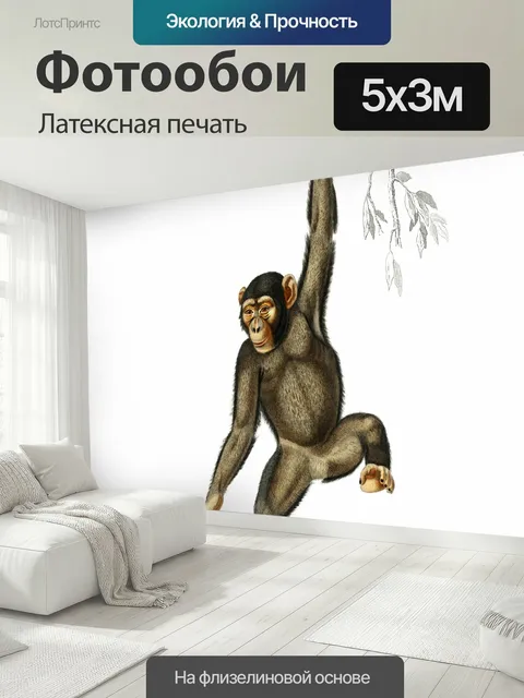 500 × 300 см · Латексная печать