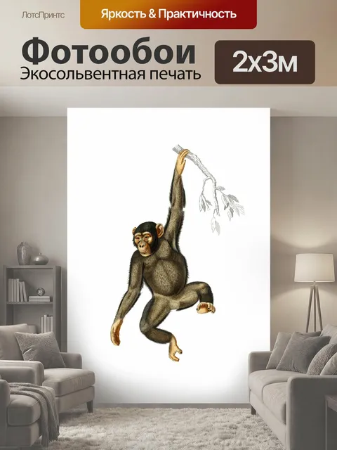 200 × 300 см · Экосольвентная печать