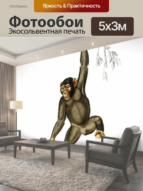 Фотообои Шимпанзе животных старинный плакат Шимпанзе