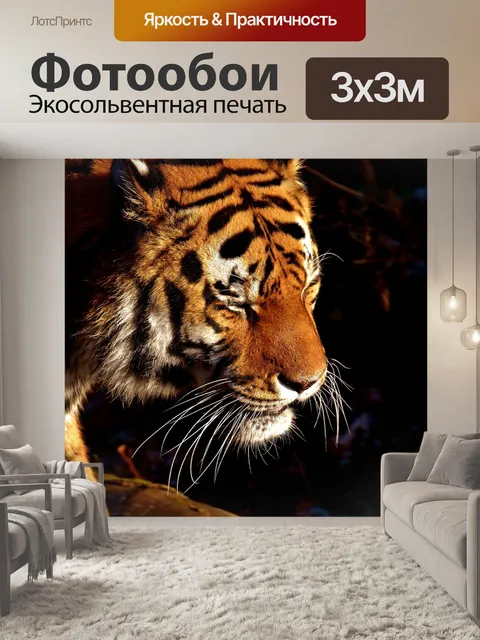 Фотообои Тигр, хищник, шерсть