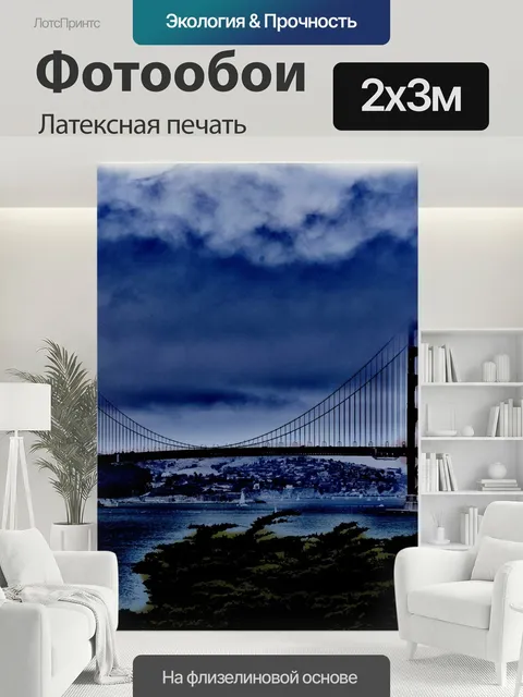 200 × 300 см · Латексная печать