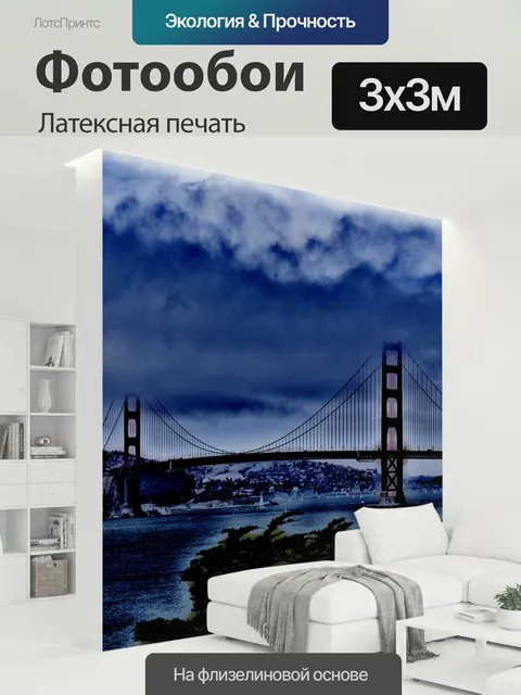 300 × 300 см · Латексная печать