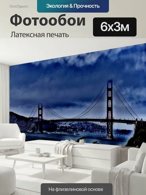600 × 300 см · Латексная печать