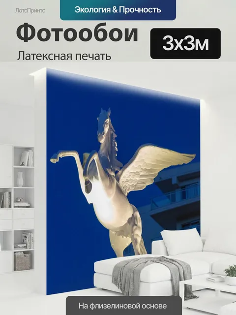 300 × 300 см · Латексная печать