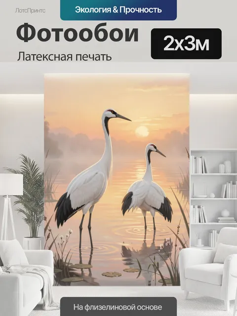200 × 300 см · Латексная печать