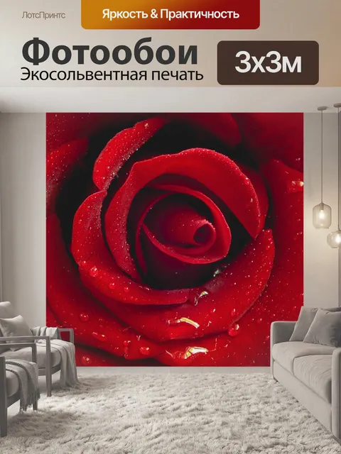 Фотообои Красная роза, красивая, алая роза