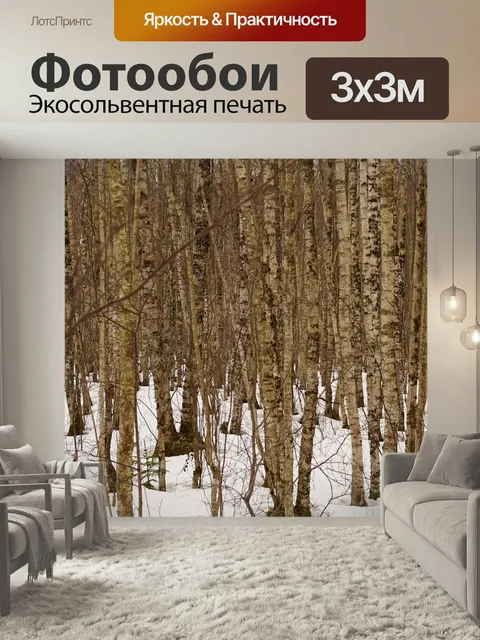 Фотообои Березки, лес, зима