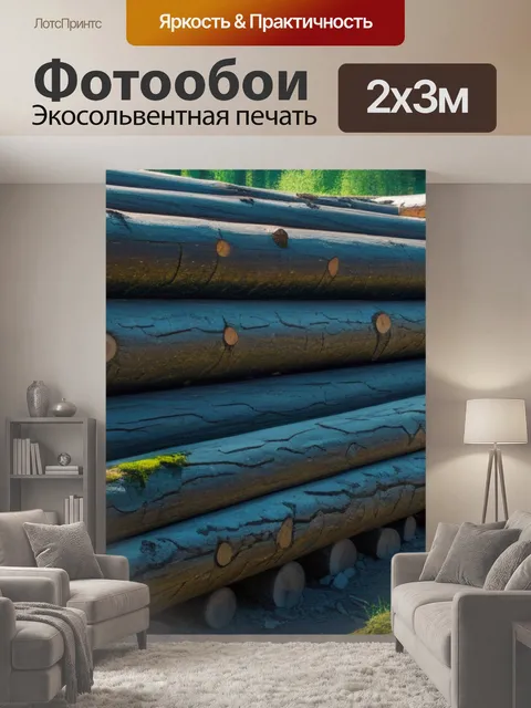 200 × 300 см · Экосольвентная печать