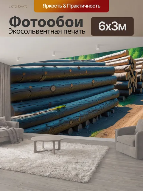 600 × 300 см · Экосольвентная печать