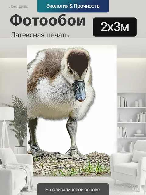 200 × 300 см · Латексная печать