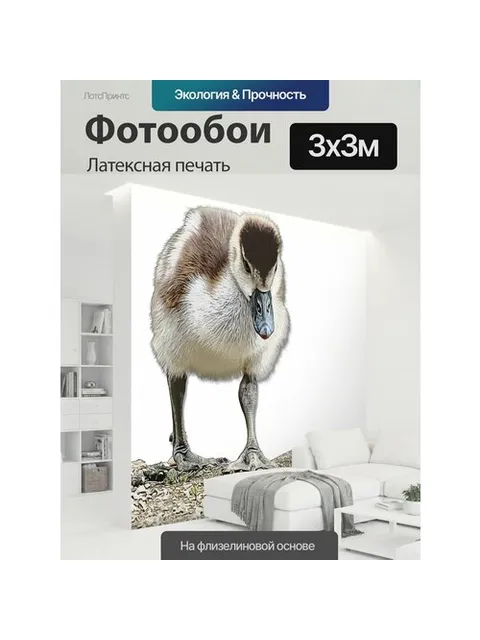 300 × 300 см · Латексная печать