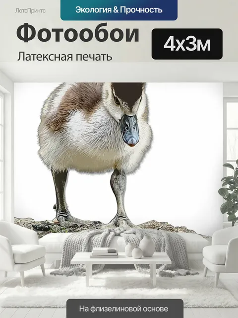 400 × 300 см · Латексная печать