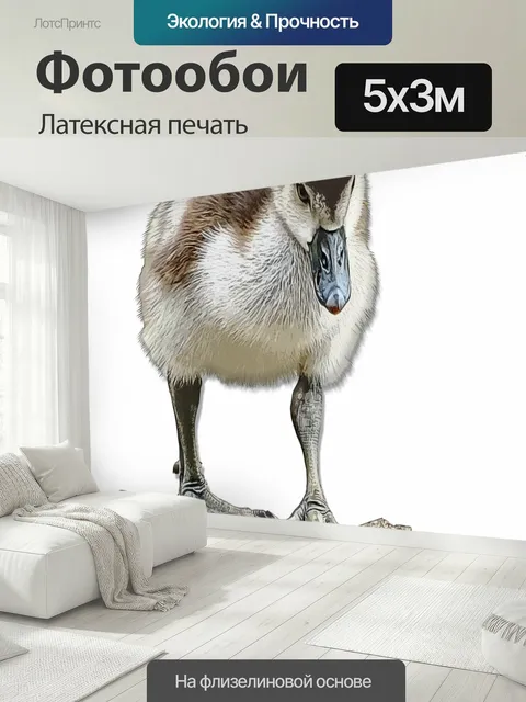 500 × 300 см · Латексная печать