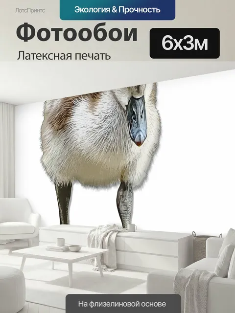 600 × 300 см · Латексная печать