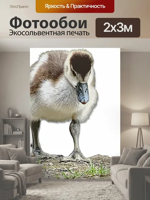 200 × 300 см · Экосольвентная печать