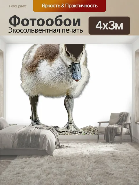 400 × 300 см · Экосольвентная печать