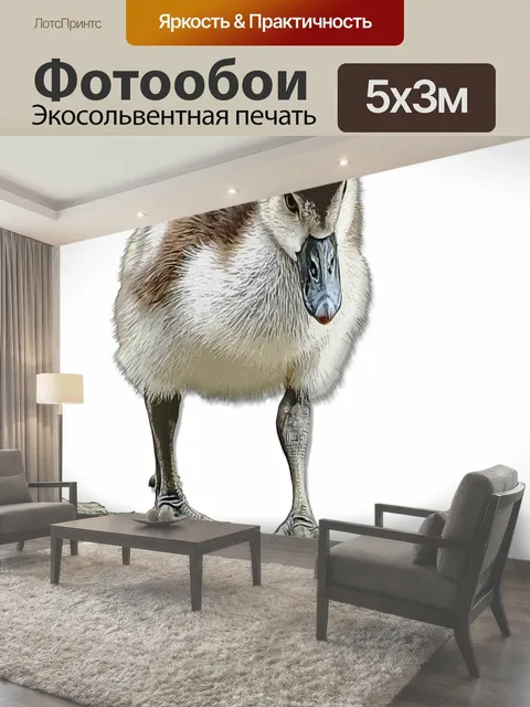 500 × 300 см · Экосольвентная печать