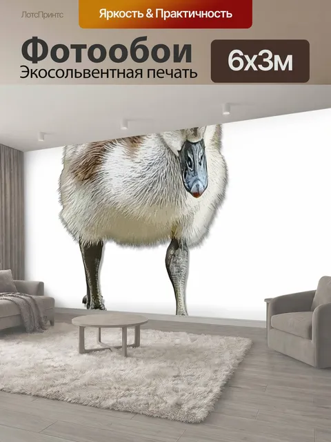 600 × 300 см · Экосольвентная печать