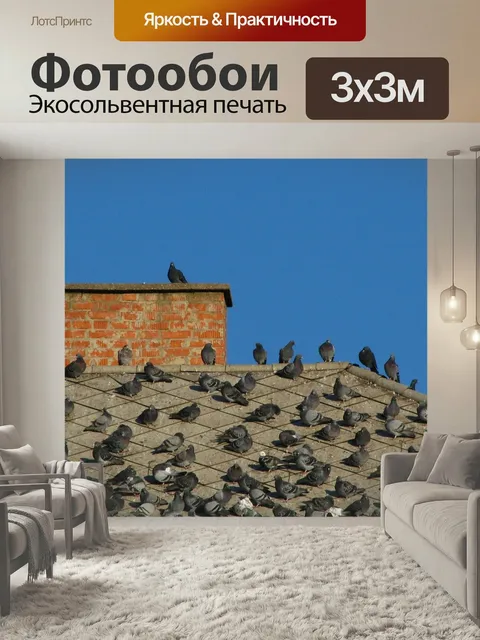 Фотообои Голуби, птицы, на крыше