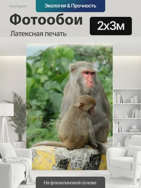 200 × 300 см · Латексная печать