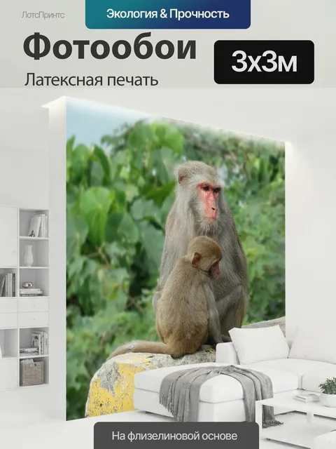300 × 300 см · Латексная печать