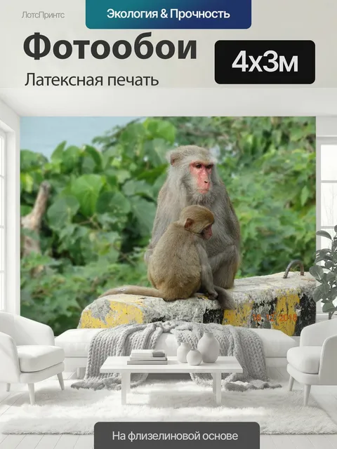 400 × 300 см · Латексная печать