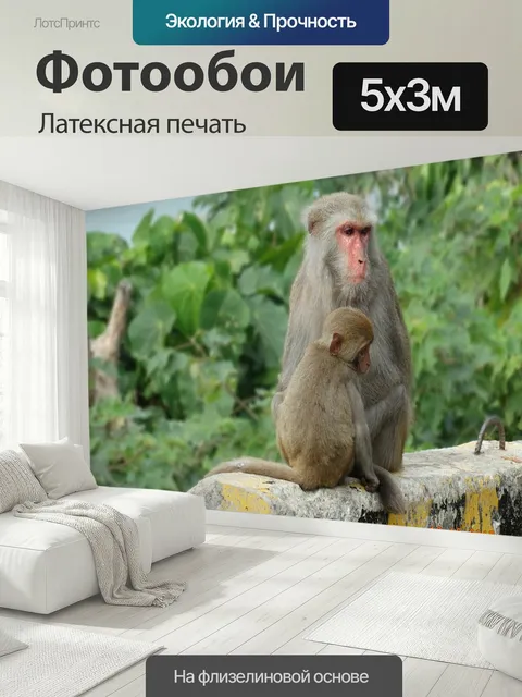 500 × 300 см · Латексная печать