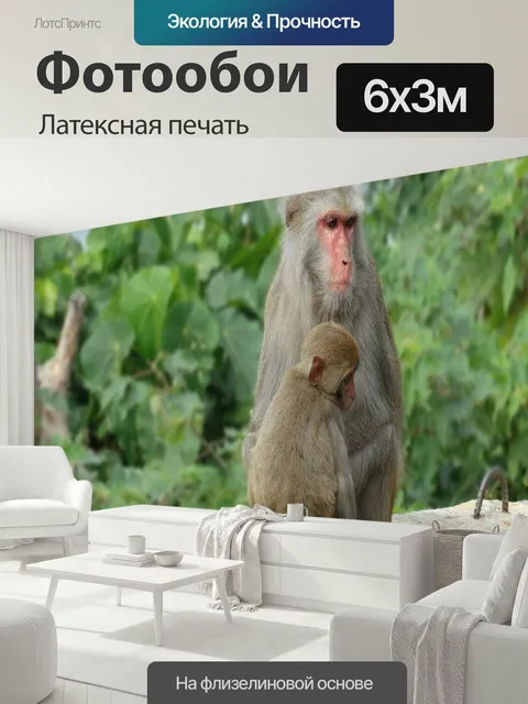 600 × 300 см · Латексная печать