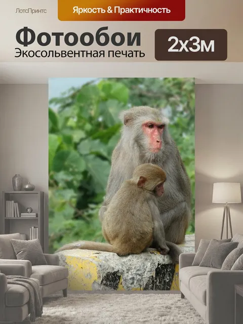 200 × 300 см · Экосольвентная печать
