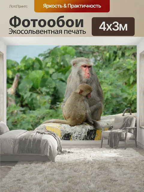 400 × 300 см · Экосольвентная печать