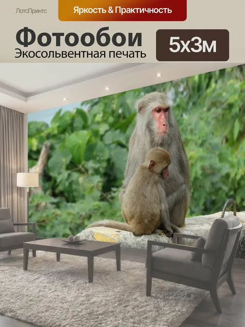 500 × 300 см · Экосольвентная печать