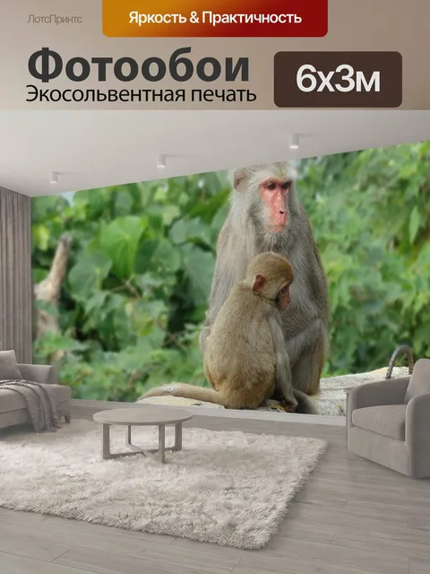 600 × 300 см · Экосольвентная печать