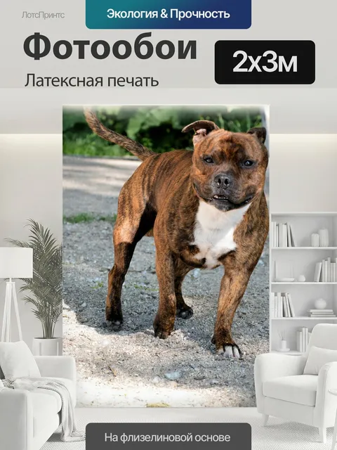 200 × 300 см · Латексная печать