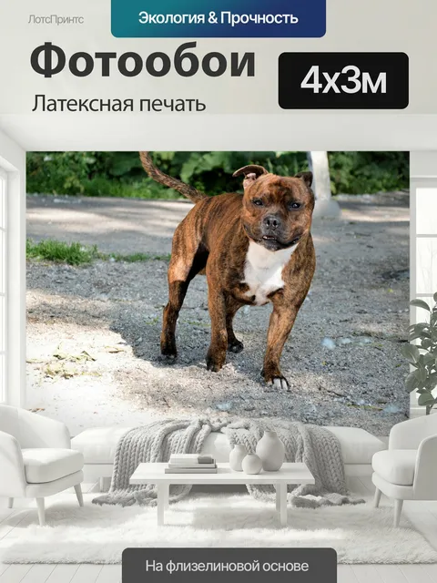 400 × 300 см · Латексная печать