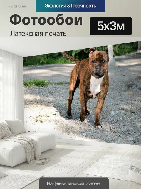 500 × 300 см · Латексная печать