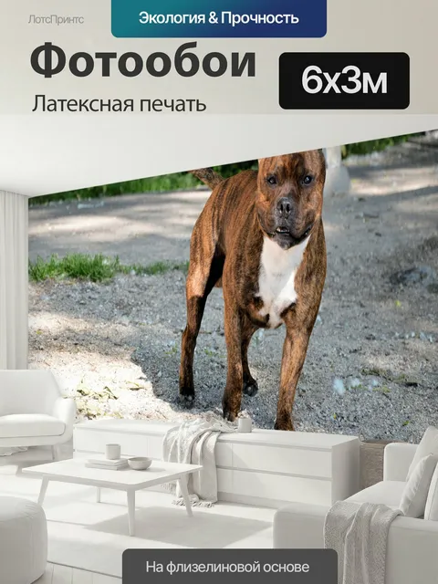 600 × 300 см · Латексная печать