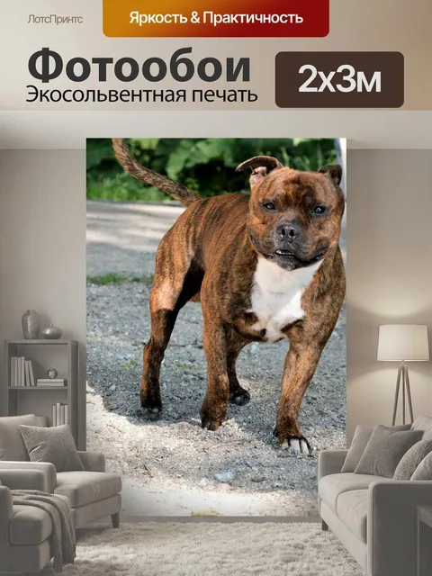 200 × 300 см · Экосольвентная печать