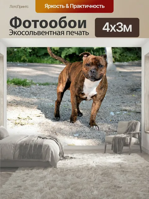 400 × 300 см · Экосольвентная печать
