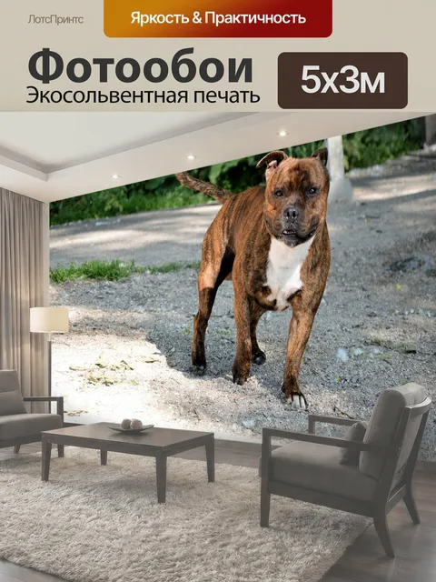 500 × 300 см · Экосольвентная печать