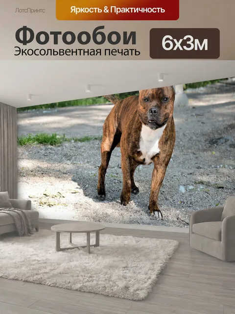 600 × 300 см · Экосольвентная печать