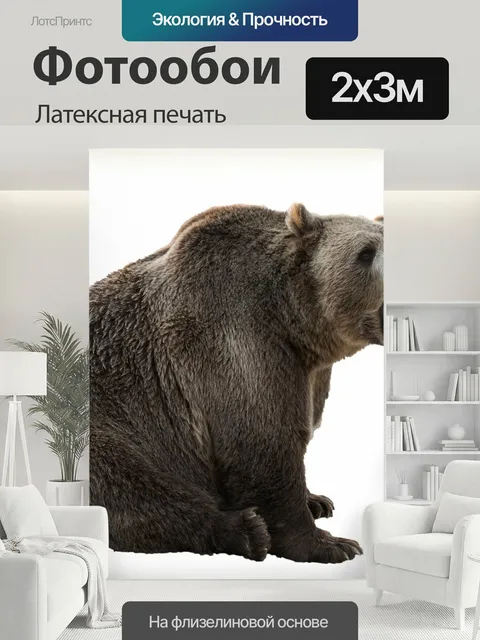 200 × 300 см · Латексная печать