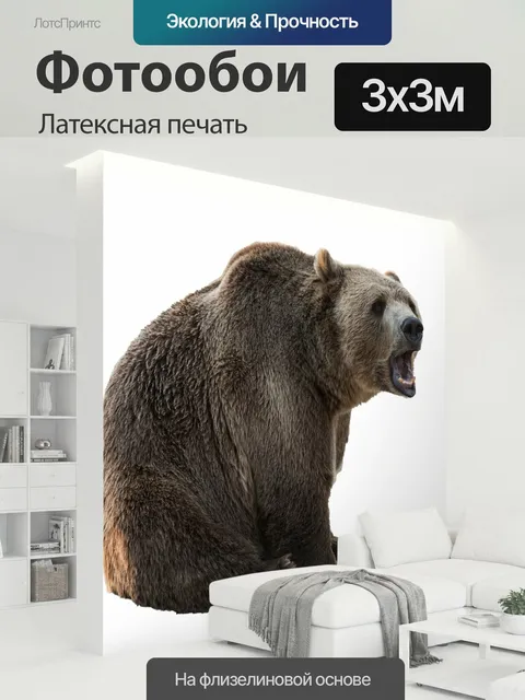 300 × 300 см · Латексная печать