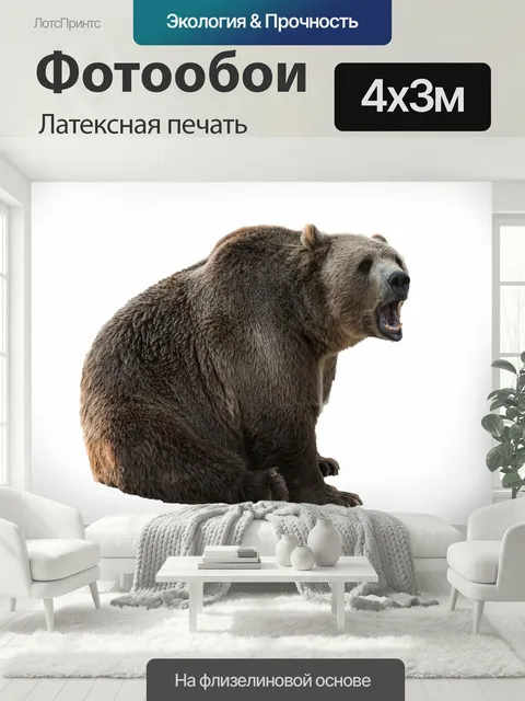 400 × 300 см · Латексная печать