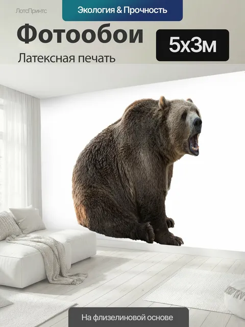 500 × 300 см · Латексная печать